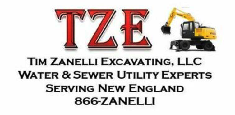 TZE Logo